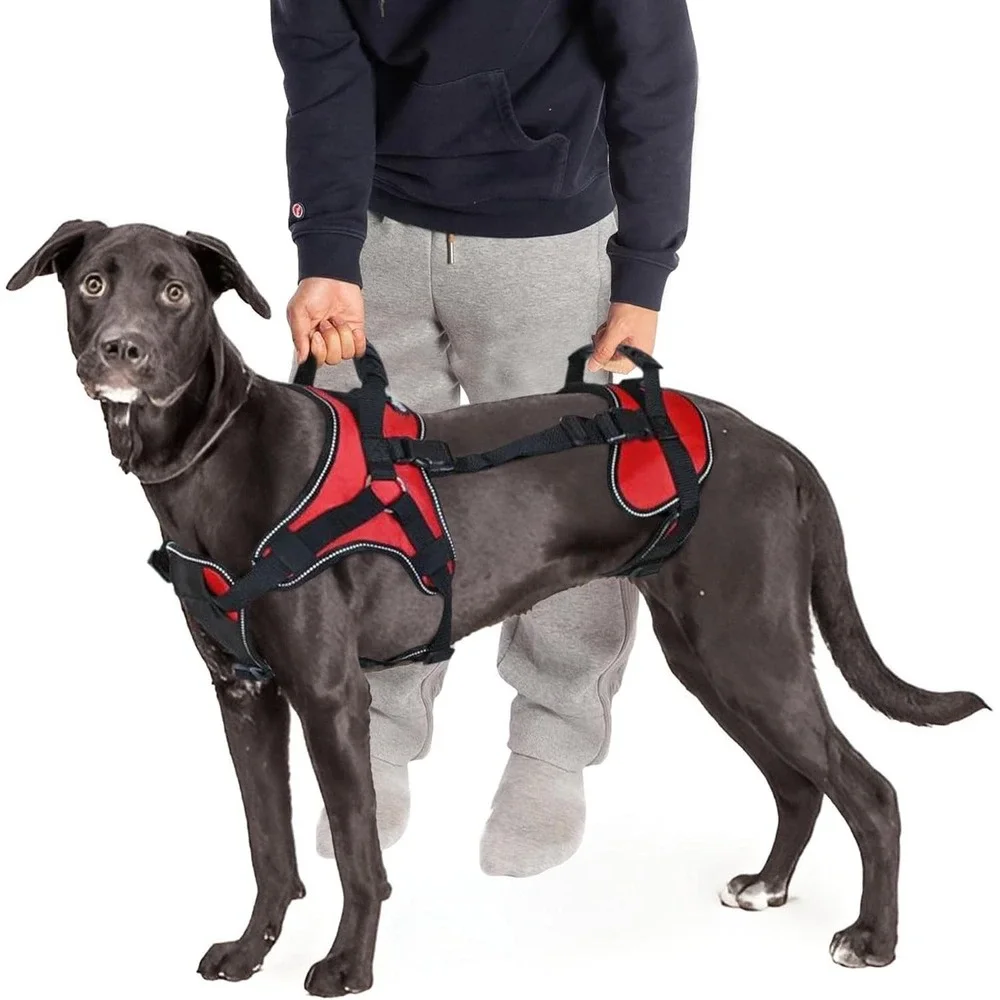 Size‎ S Doggie Stylz Full Body Lift Harness for Front & Rear Dog Support